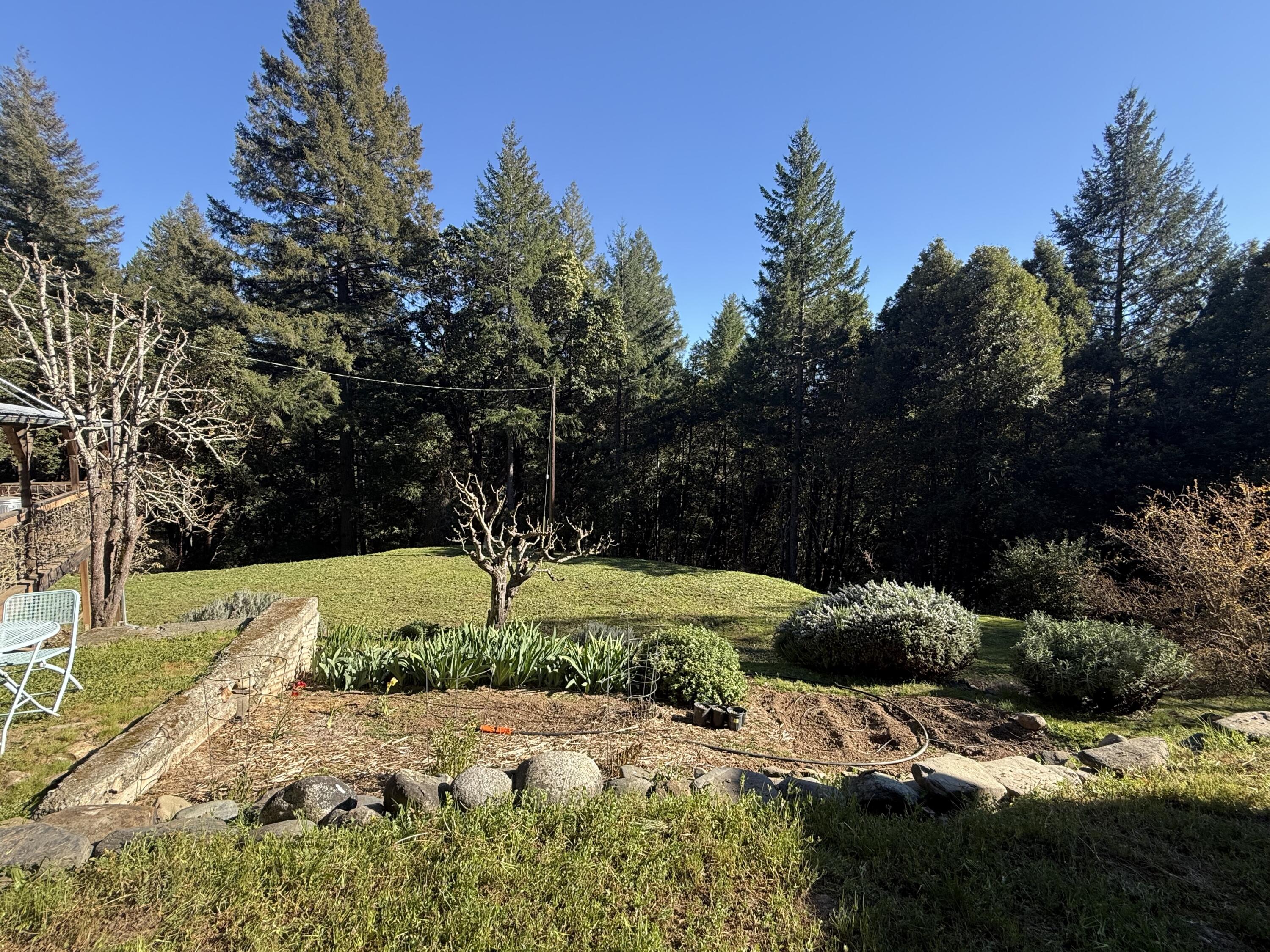 787 Owl Mine Road Orleans, CA 95556 - Photo 12 of 50