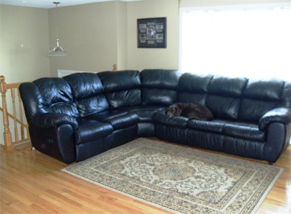 35 Lynbrook Road Methuen, MA 01844 - Photo 4 of 8 a living room with a couch