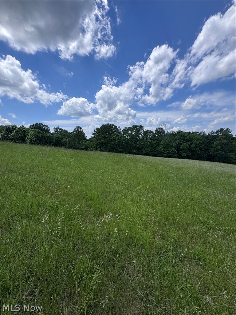 Johnson Ridge Road, Unit 4 6 Stockport, OH 43787 - Photo 9 of 16