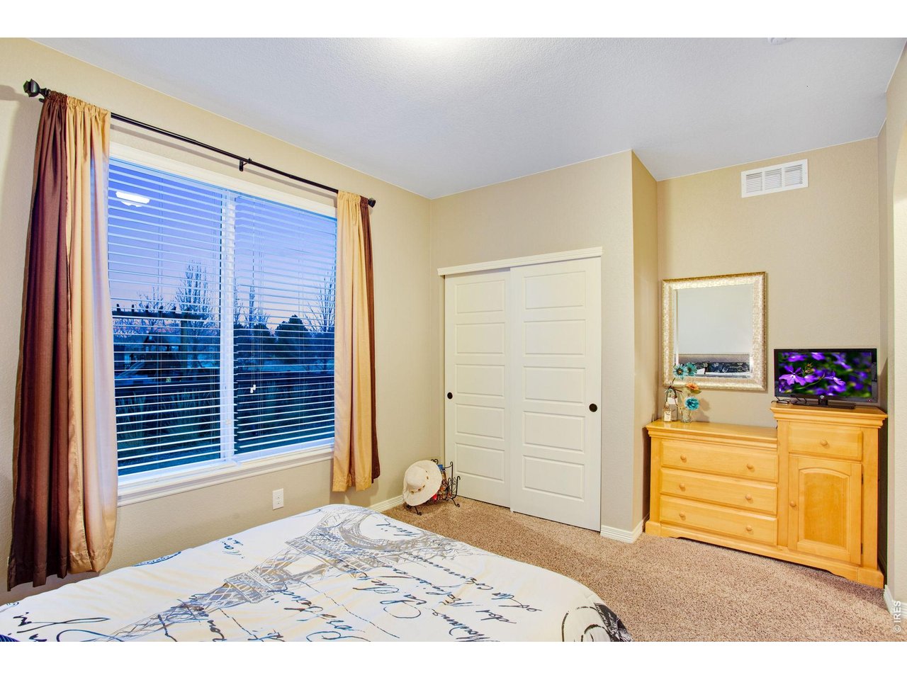 5728 Connor Street Timnath, CO 80547 - Photo 27 of 50 a view of a bedroom with closet and windows