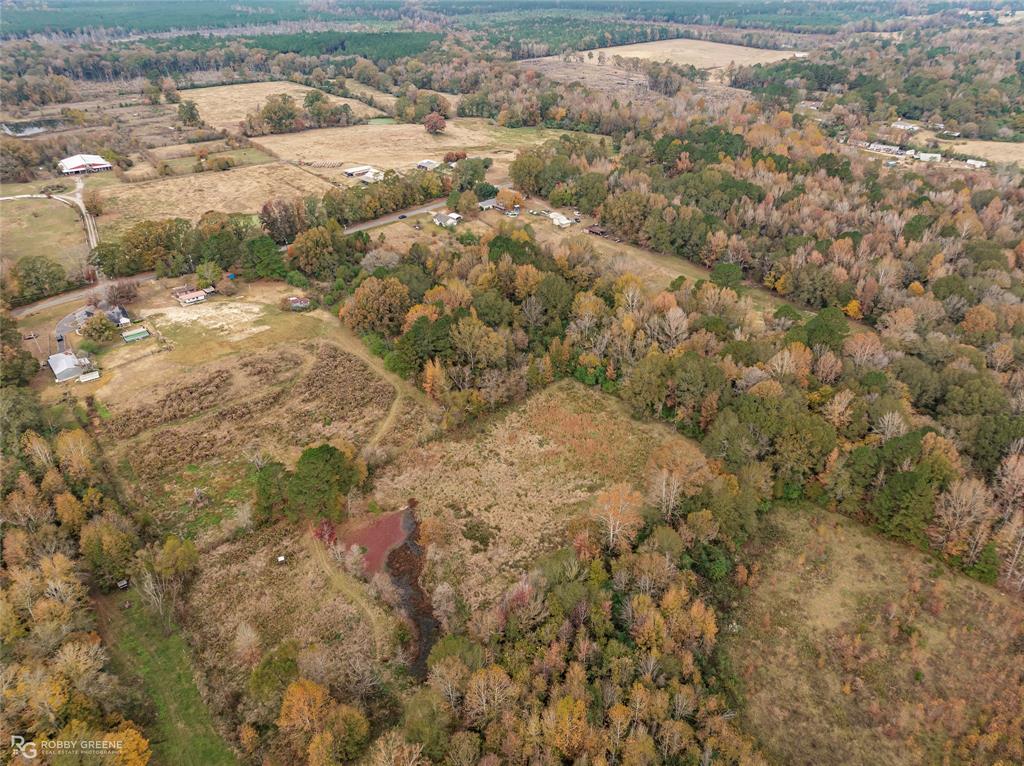 2473 Doc Steed Road Minden, LA 71055 - Photo 4 of 6 a view of a yard