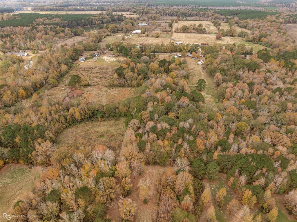 2473 Doc Steed Road Minden, LA 71055 - Photo 5 of 6 a view of a yard
