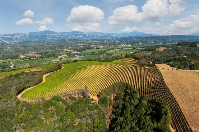 a view of a yard with swimming pool