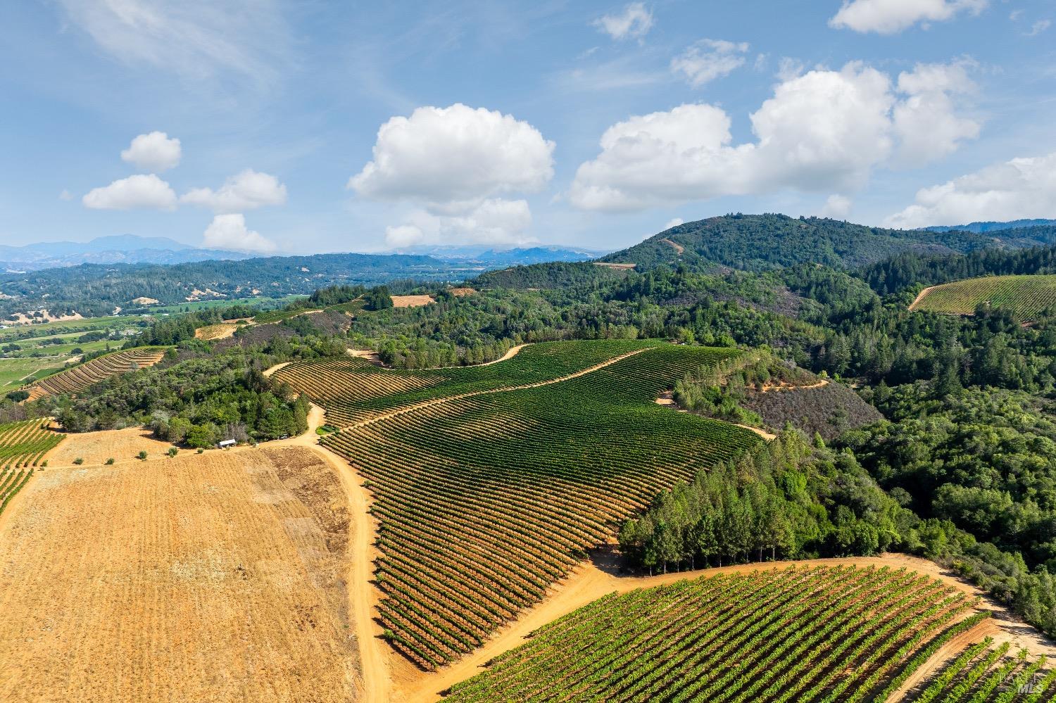 9965 West Dry Creek Road Healdsburg, CA 95448 - Photo 16 of 21 a view of a city