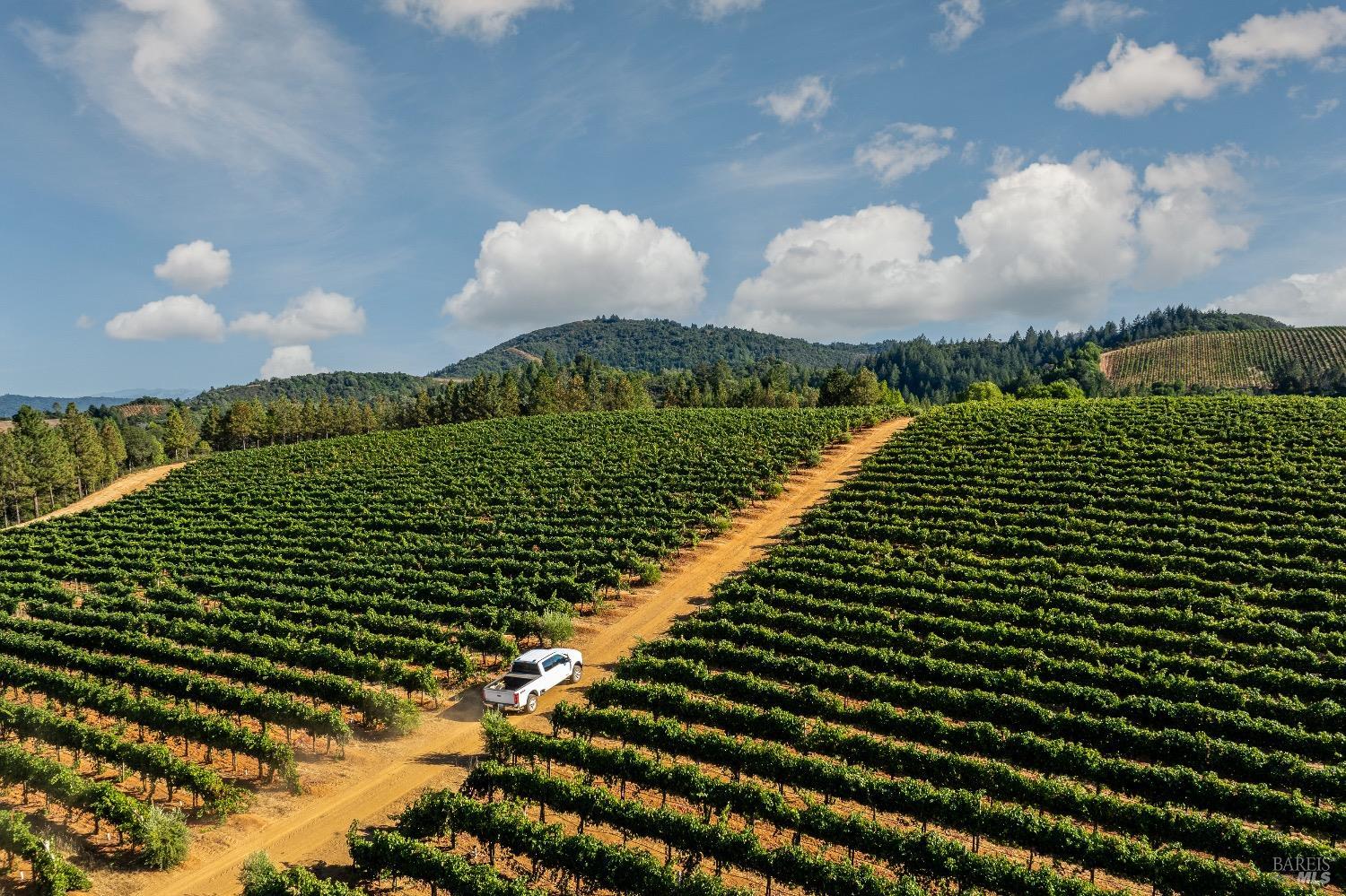 9965 West Dry Creek Road Healdsburg, CA 95448 - Photo 18 of 21