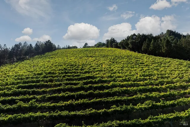 $6,500,000 | 9965 West Dry Creek Road, Healdsburg, CA 95448