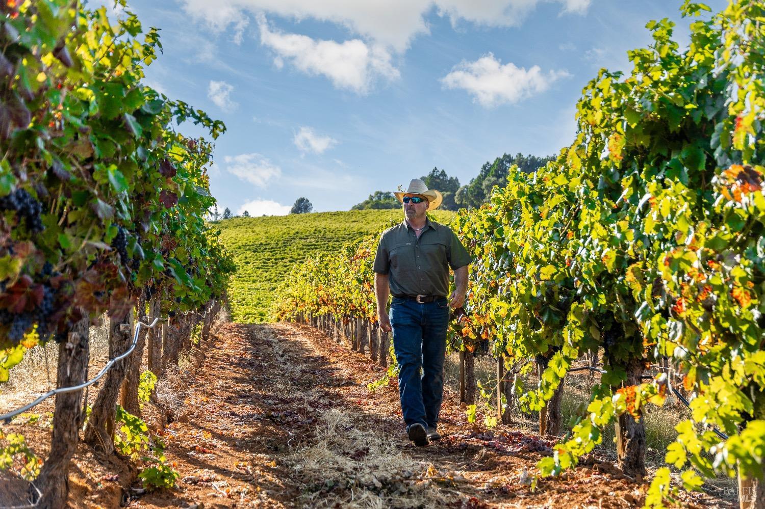 9965 West Dry Creek Road Healdsburg, CA 95448 - Photo 3 of 21 a backyard of a house with lots of green space