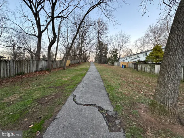 a view of a yard with tree s