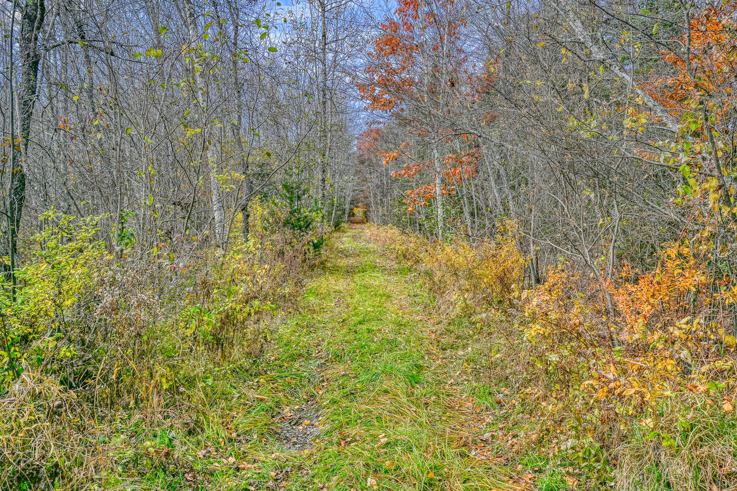 70 Morgan Road Burnham, ME 04922 - Photo 21 of 50 109764gr-105