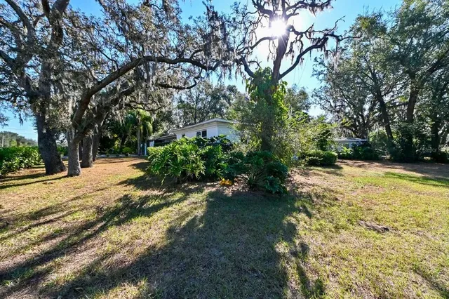 a view of yard with trees