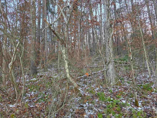 $90,000 | D Street, Louisa, KY 41230
