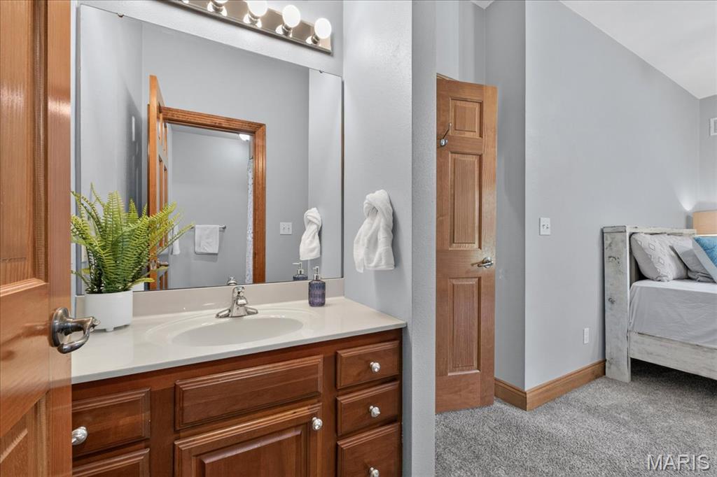 520 Schlueter Germaine Road Belleville, IL 62220 - Photo 45 of 98