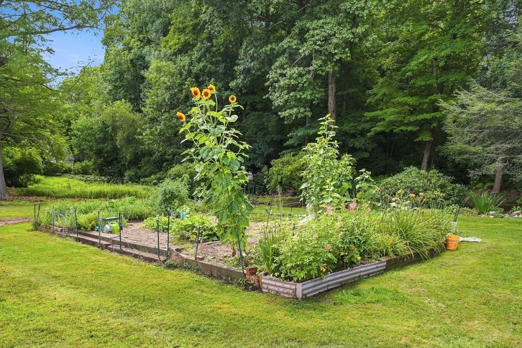 170 Brookfield Road Warren, MA 01010 - Photo 40 of 42 Gallery Image 40