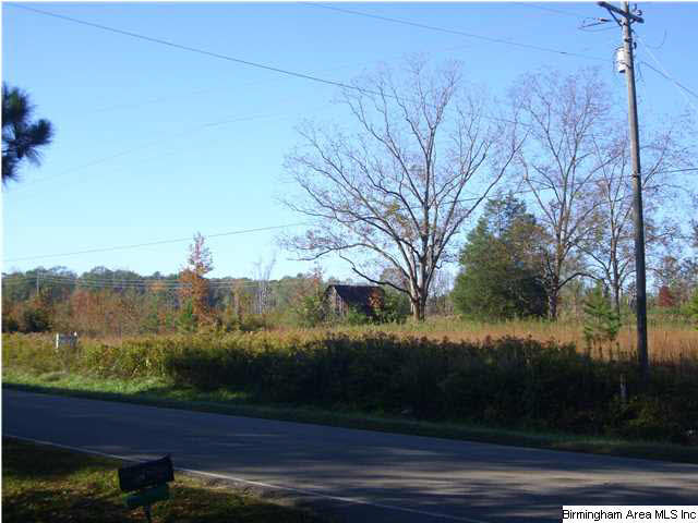 1148 County Road 418 Clanton, AL 35045 - Photo 3 of 10