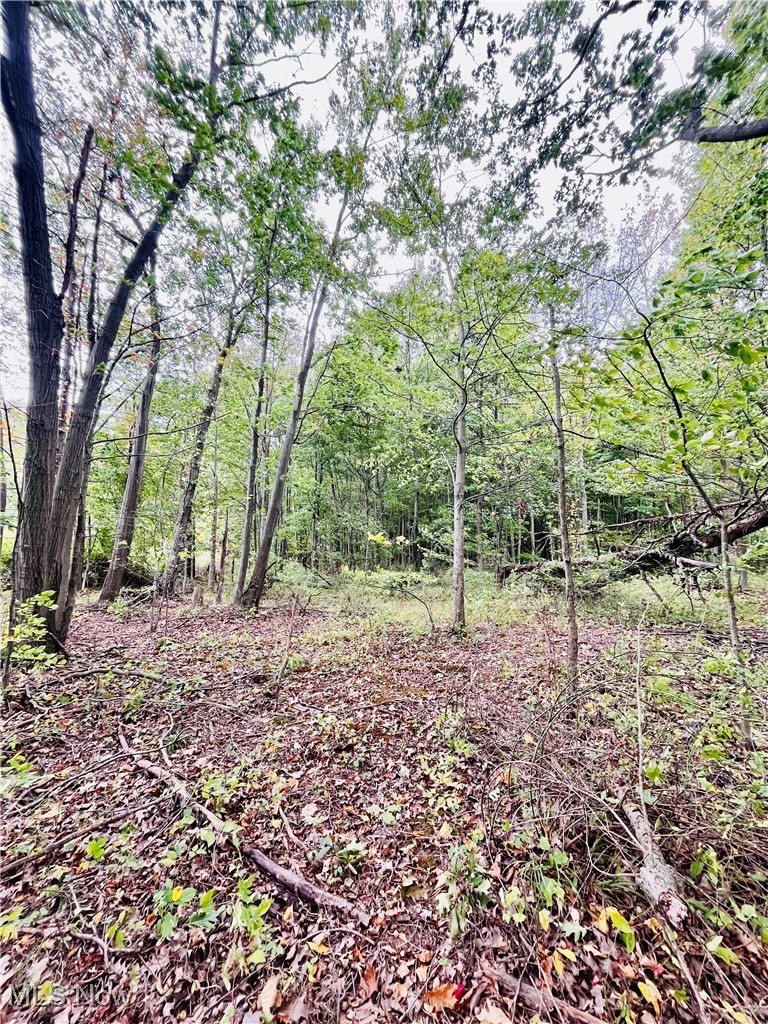 2687 Griggs Road Jefferson, OH 44047 - Photo 38 of 41 View of landscape