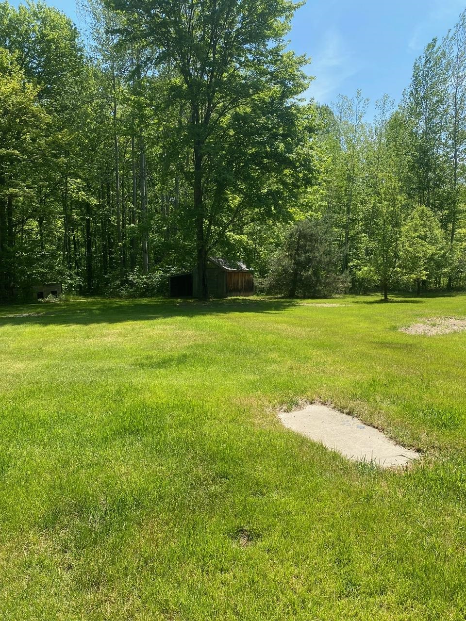 3302 Dana Road Coleman, MI 48618 - Photo 11 of 50