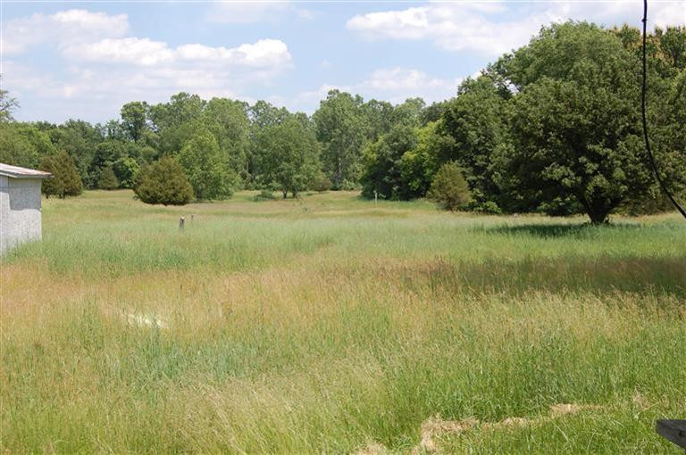 13001 Hadley Road Gregory, MI 48137 - Photo 13 of 14 Beautiful back yard