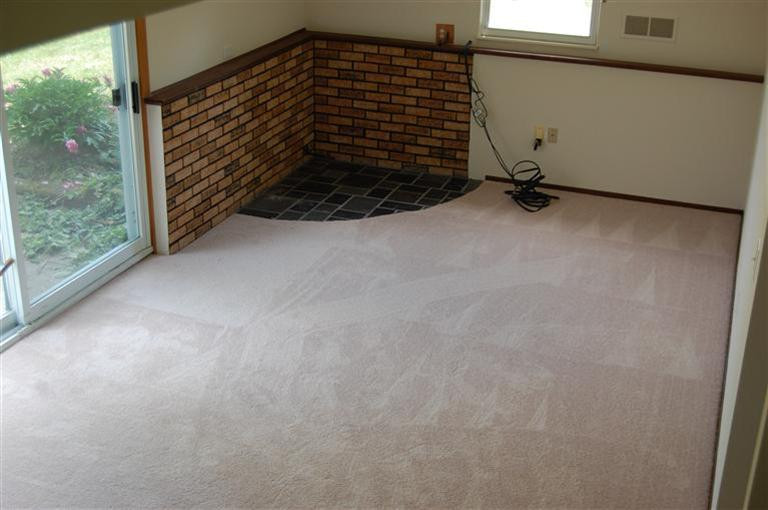 13001 Hadley Road Gregory, MI 48137 - Photo 5 of 14 Family room with new carpeting.
