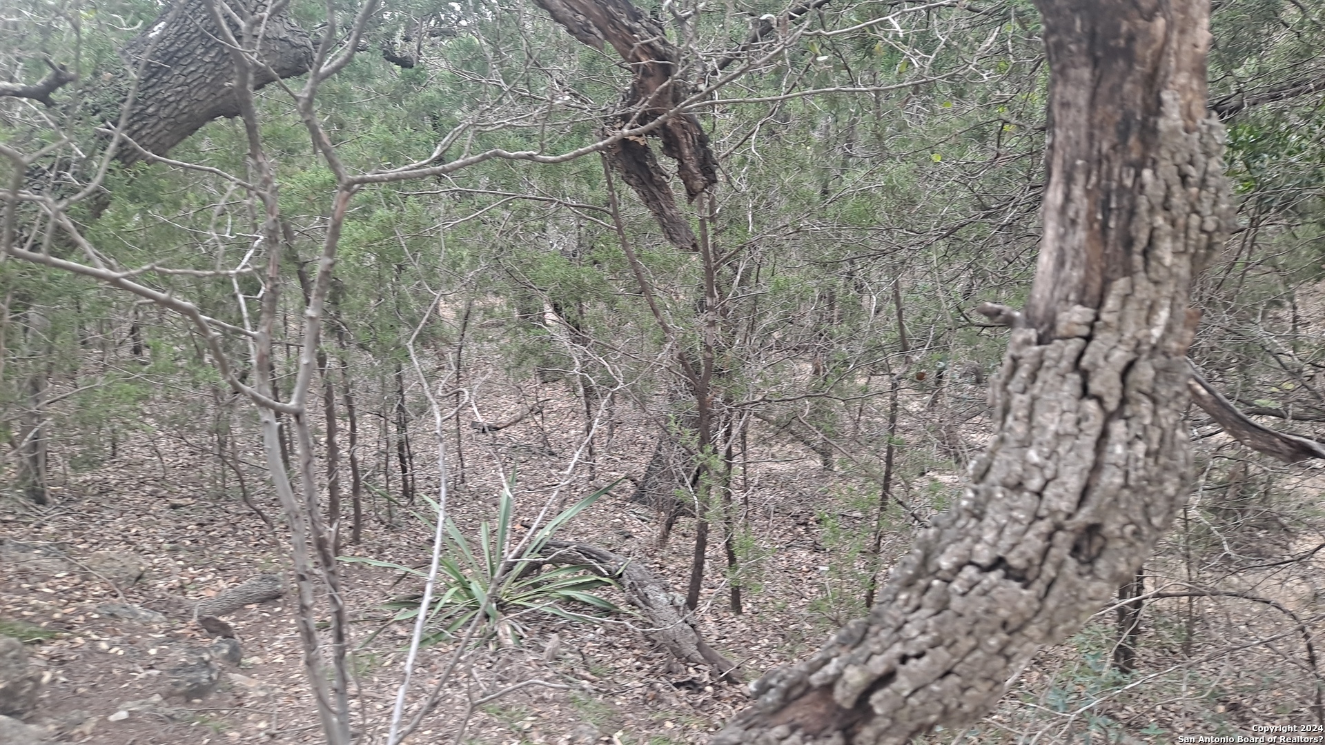 0 Doc Holiday Bandera, TX 78003 - Photo 1 of 9 a view of a yard