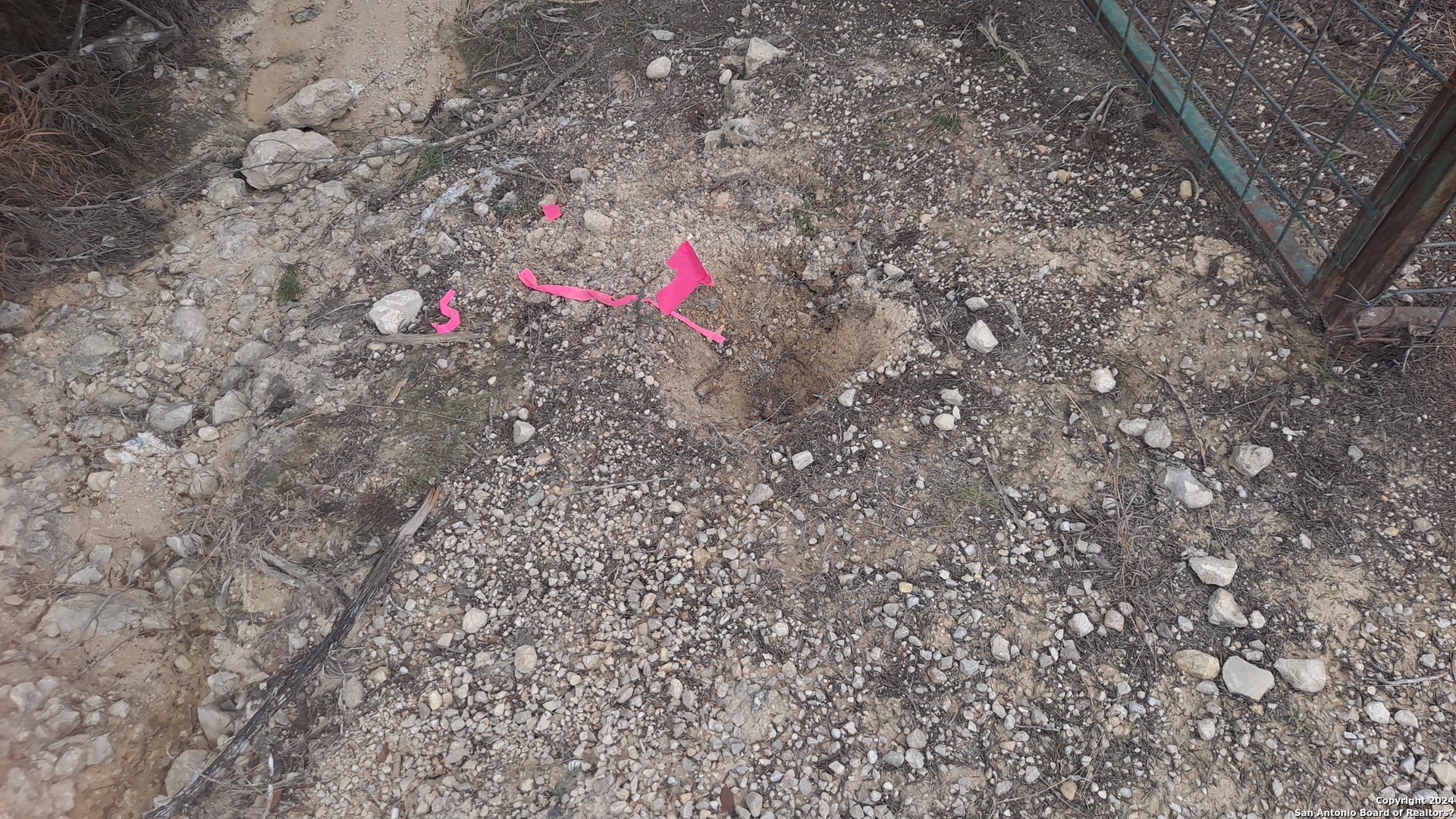 0 Doc Holiday Bandera, TX 78003 - Photo 2 of 9 a close up of a tree