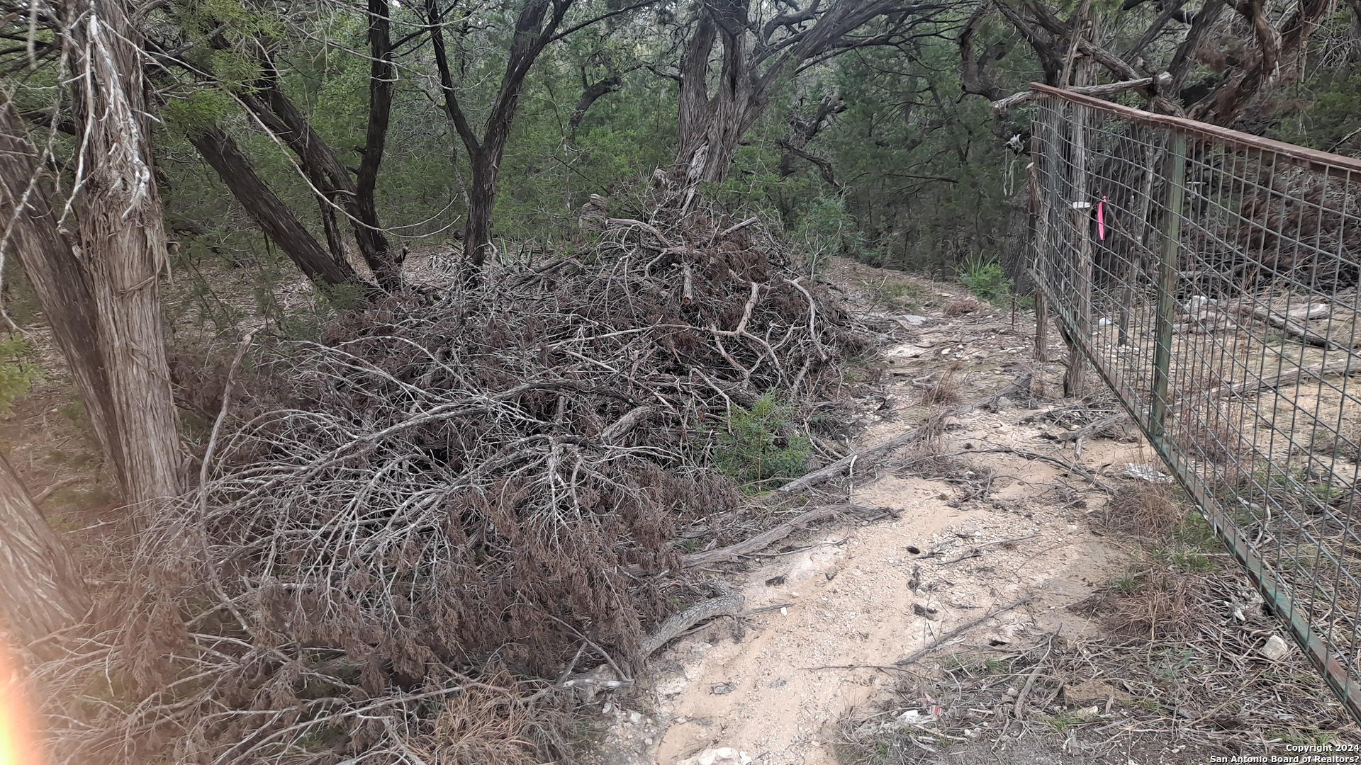 0 Doc Holiday Bandera, TX 78003 - Photo 3 of 9 a view of a yard with large trees