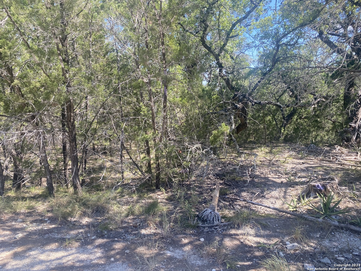 0 Doc Holiday Bandera, TX 78003 - Photo 5 of 9 a view of a forest with trees