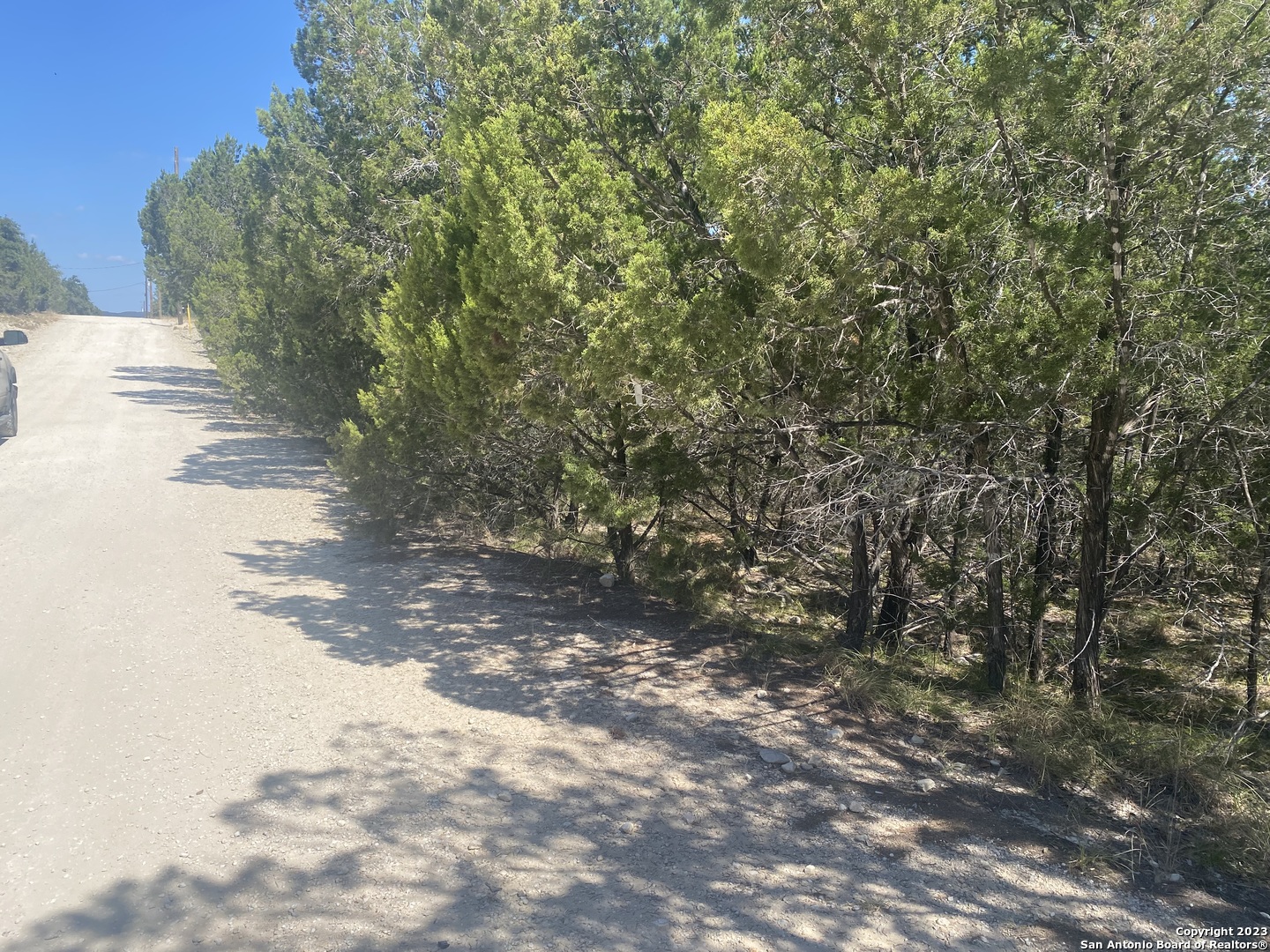 0 Doc Holiday Bandera, TX 78003 - Photo 6 of 9 a view of a yard with plants and trees