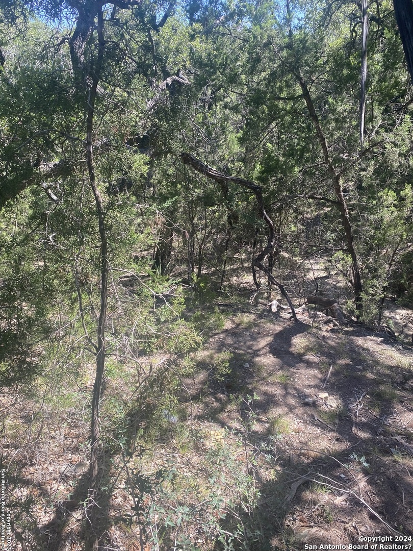 0 Doc Holiday Bandera, TX 78003 - Photo 7 of 9 a view of a yard with a tree