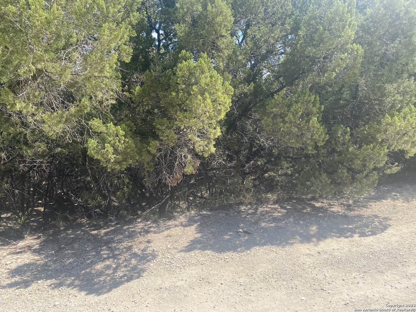 0 Doc Holiday Bandera, TX 78003 - Photo 9 of 9 a view of a yard with large trees
