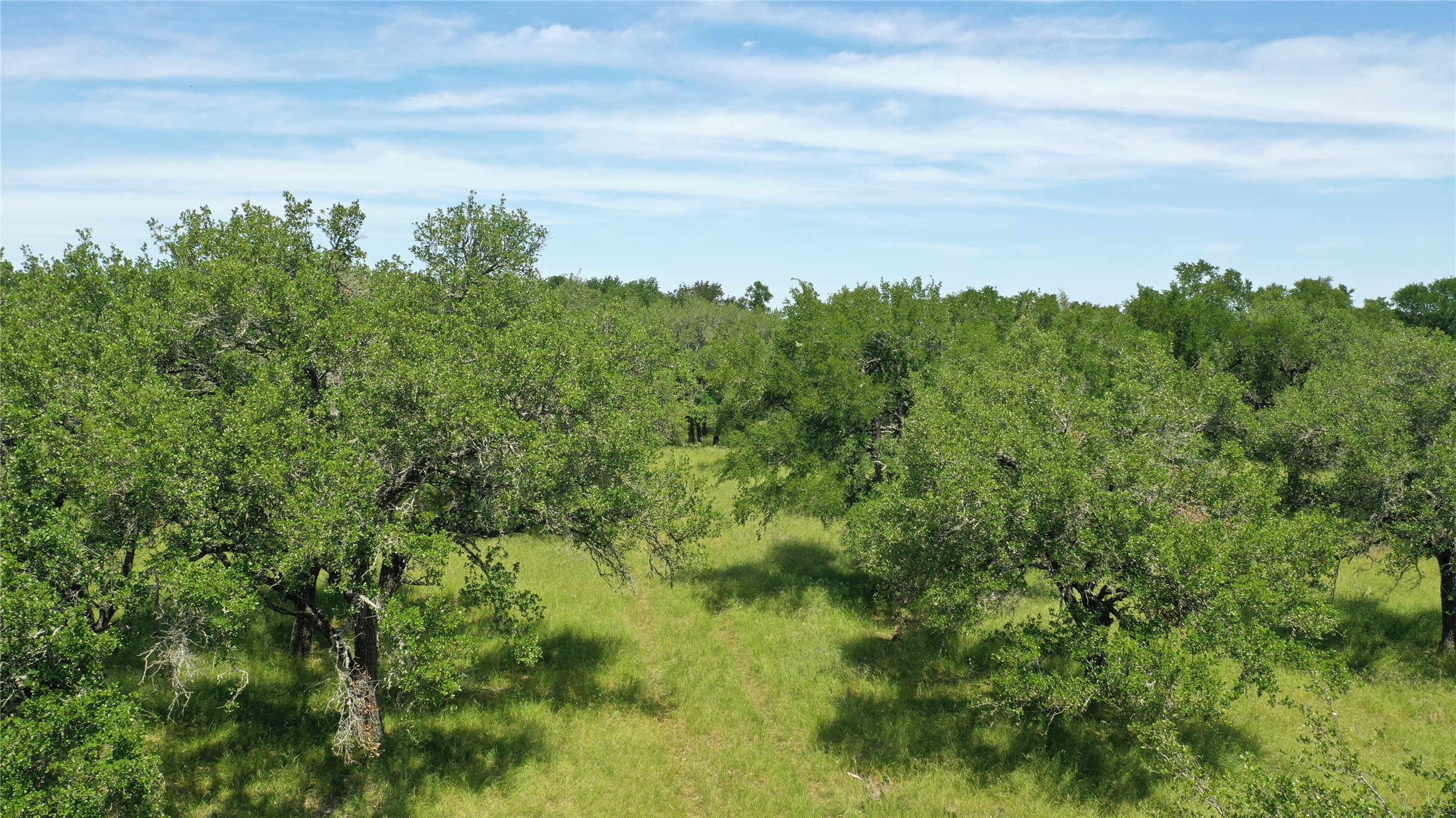 3215 County Road 305 Jarrell, TX 76537 - Photo 14 of 23