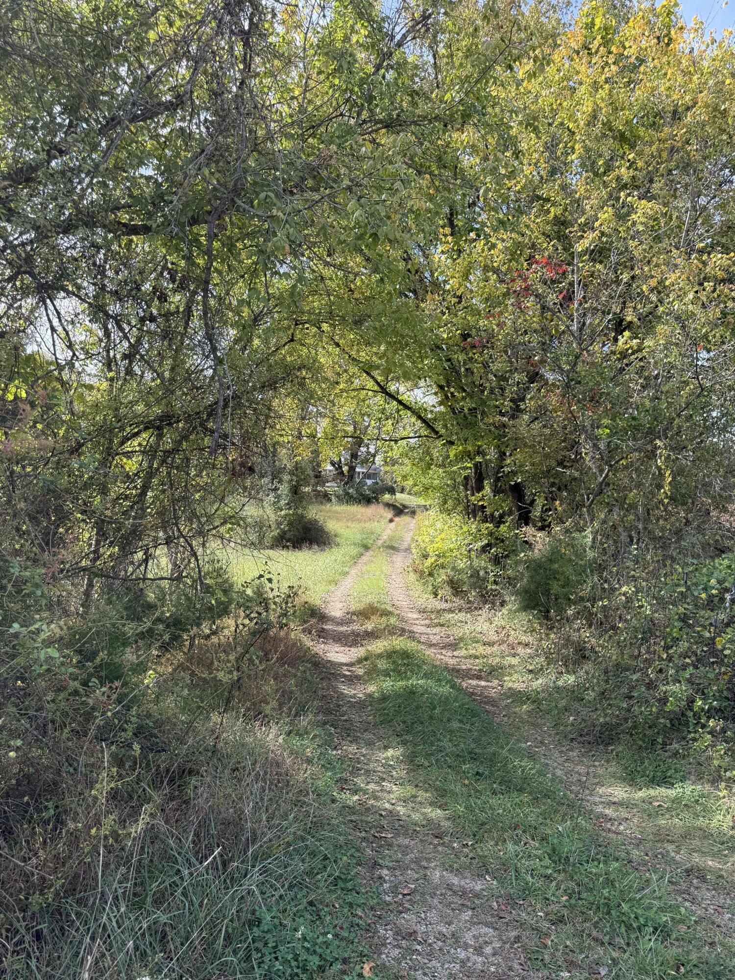 1660 Crocus Road Jamestown, KY 42629 - Photo 6 of 14 Lane back to Crocus Rd.