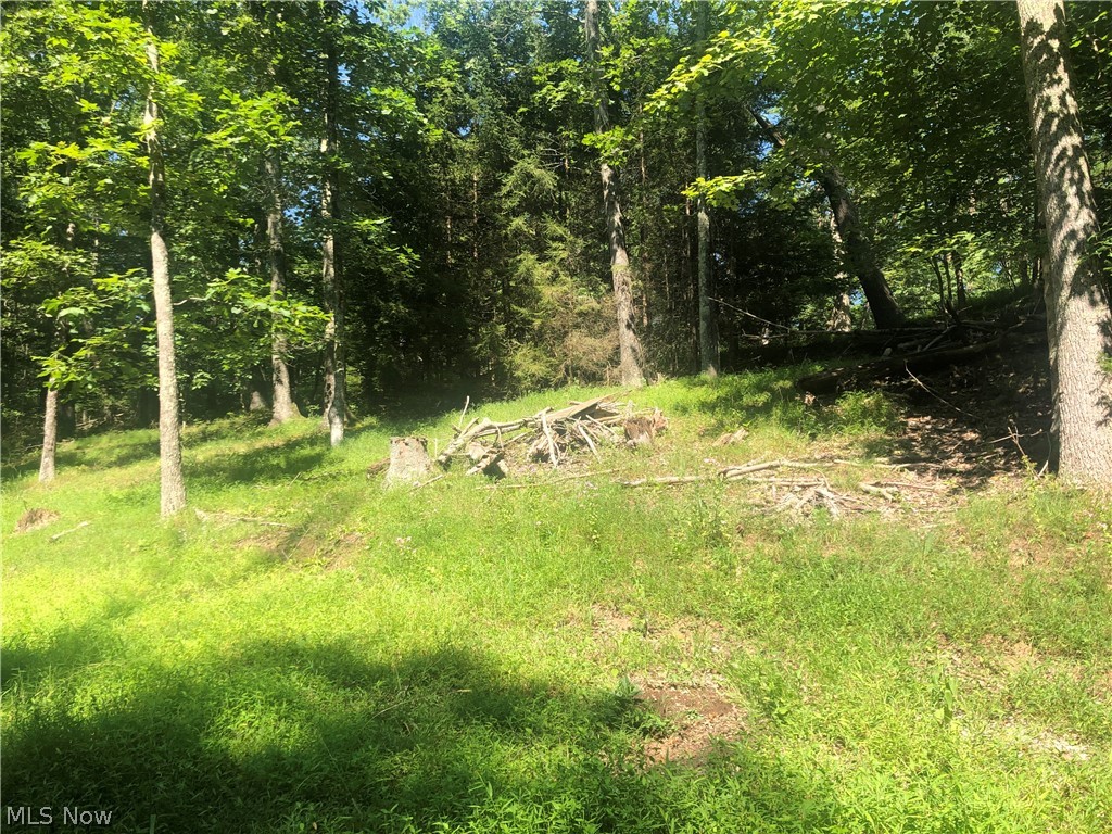 Elliott Run Rd Union West Union, WV 26456 - Photo 7 of 18