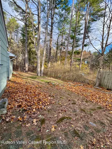 a view of a yard with trees
