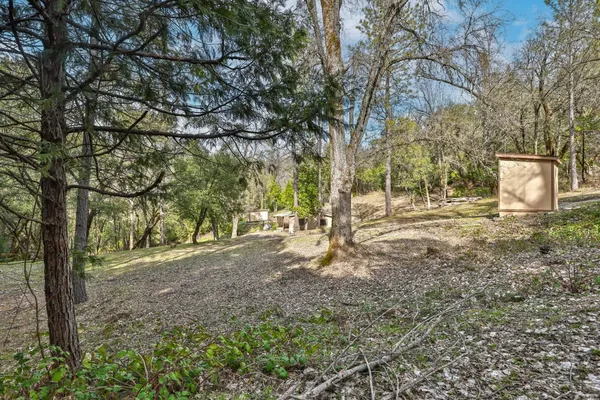 a view of a yard with plants