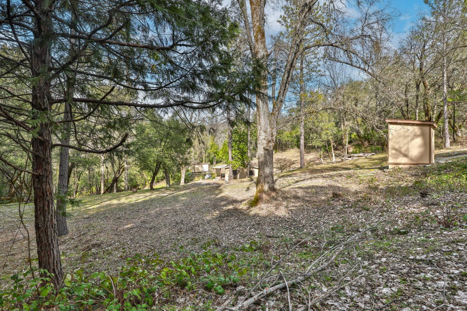 7277 Red Ant Road Somerset, CA 95684 - Photo 36 of 42 a backyard of a house with lots of green space