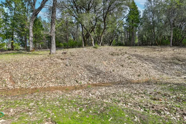 a view of a tree with a wooden fence