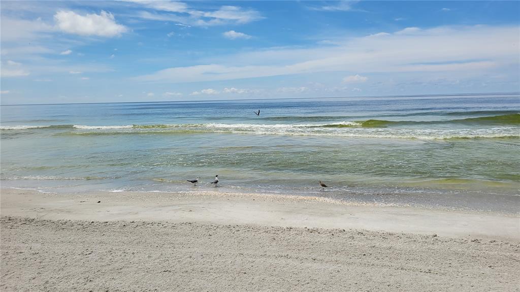 1000 Longboat Club Road, Unit 406 Longboat Key, FL 34228 - Photo 28 of 48