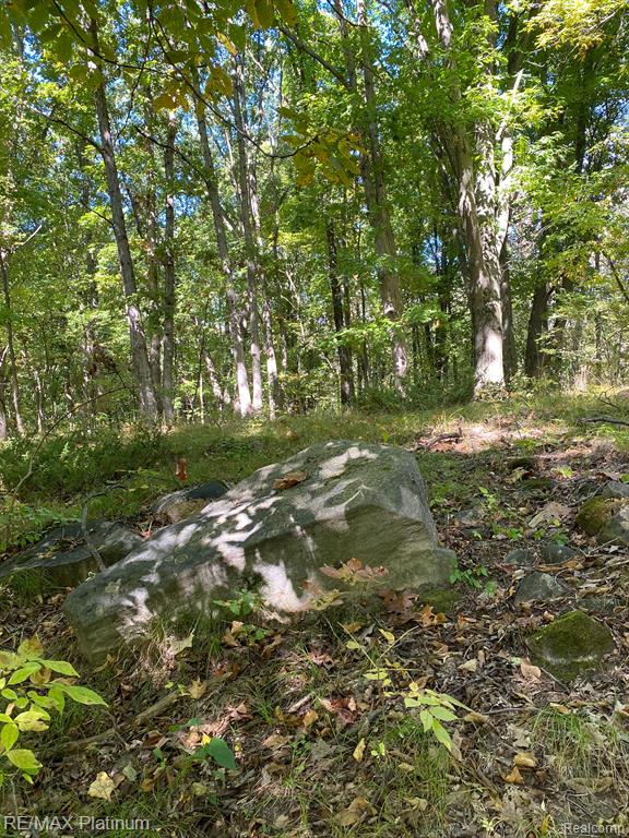9532 Scully Road Whitmore Lake, MI 48189 - Photo 5 of 27