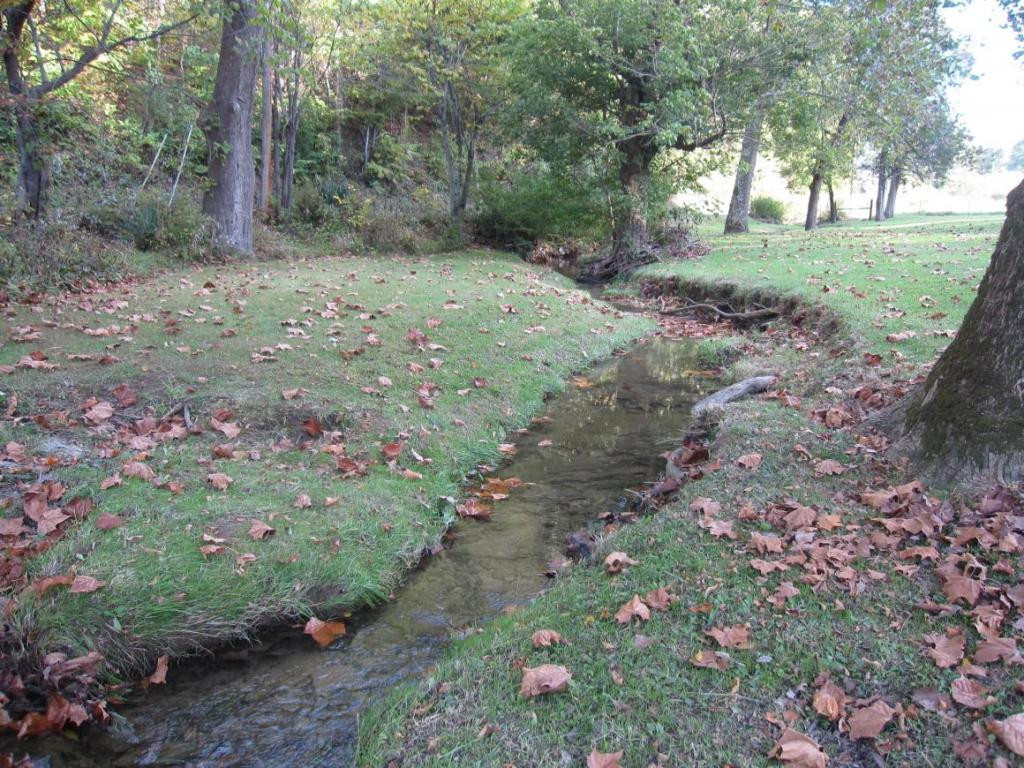 706 Bramble Road Greeneville, TN 37743 - Photo 9 of 36 Photo 9