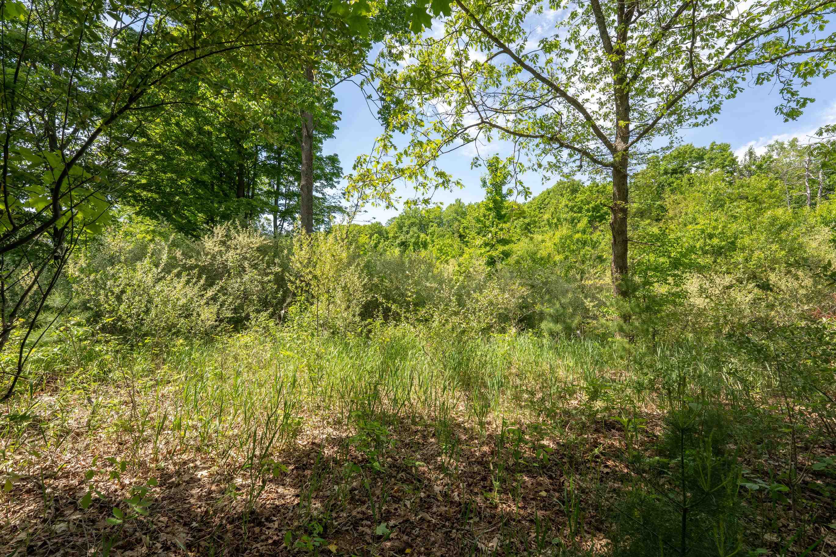 Tbd Traverse Road Thompsonville, MI 49683 - Photo 30 of 40