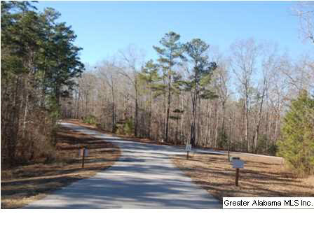 Lot 67 Laurel Way, Unit 67 Wedowee, AL 36278 - Photo 2 of 10