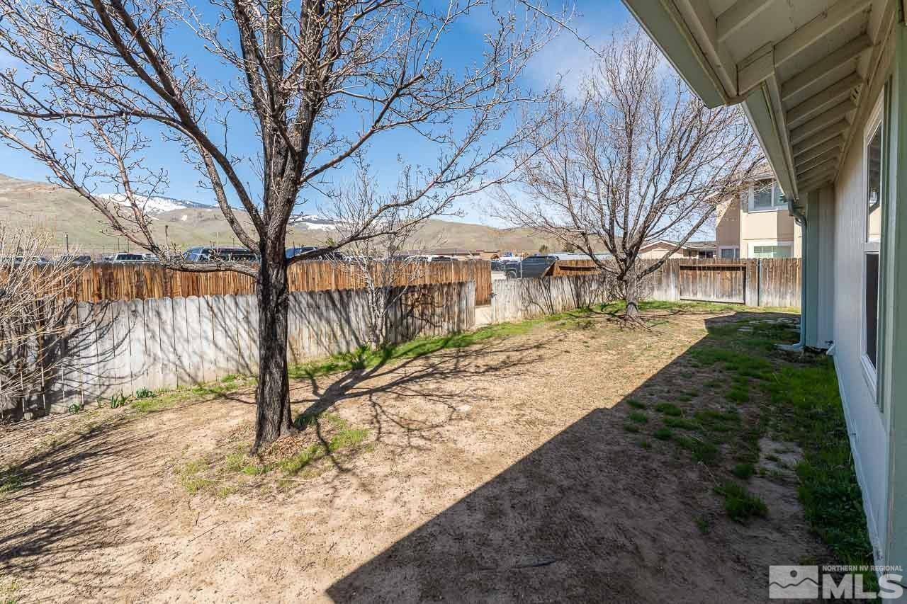 254 Windtree Circle Carson City, NV 89701 - Photo 20 of 23 a view of a yard with a tree