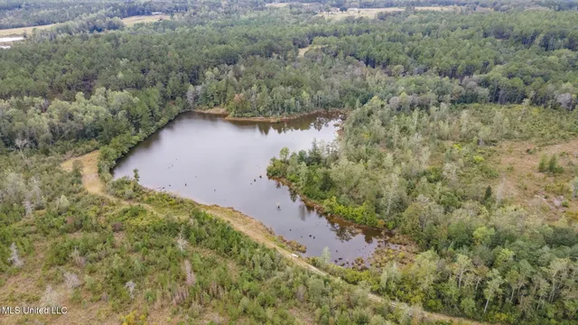 $1,550,000 | 454 Earlville Road, Lucedale, MS 39452