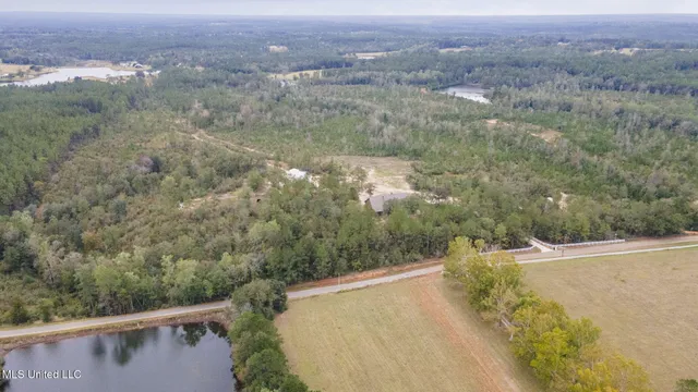 $1,550,000 | 454 Earlville Road, Lucedale, MS 39452