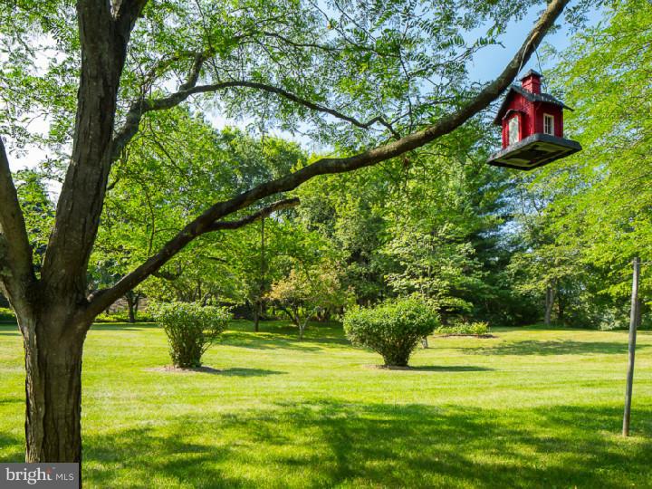909 Canal Road Princeton, NJ 08540 - Photo 22 of 25 Back Yard