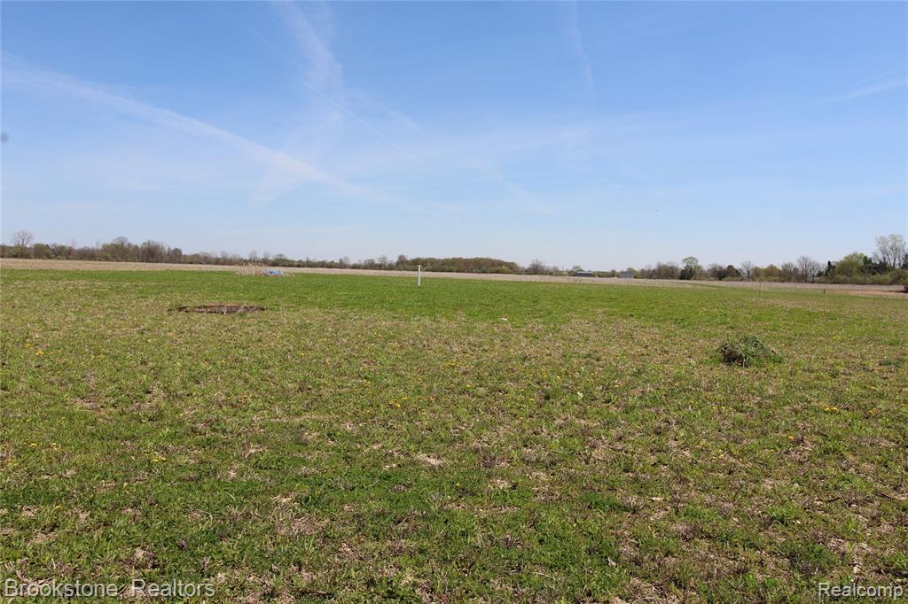 Vacant Lot D Vacant Road Columbus, MI 48063 - Photo 1 of 12