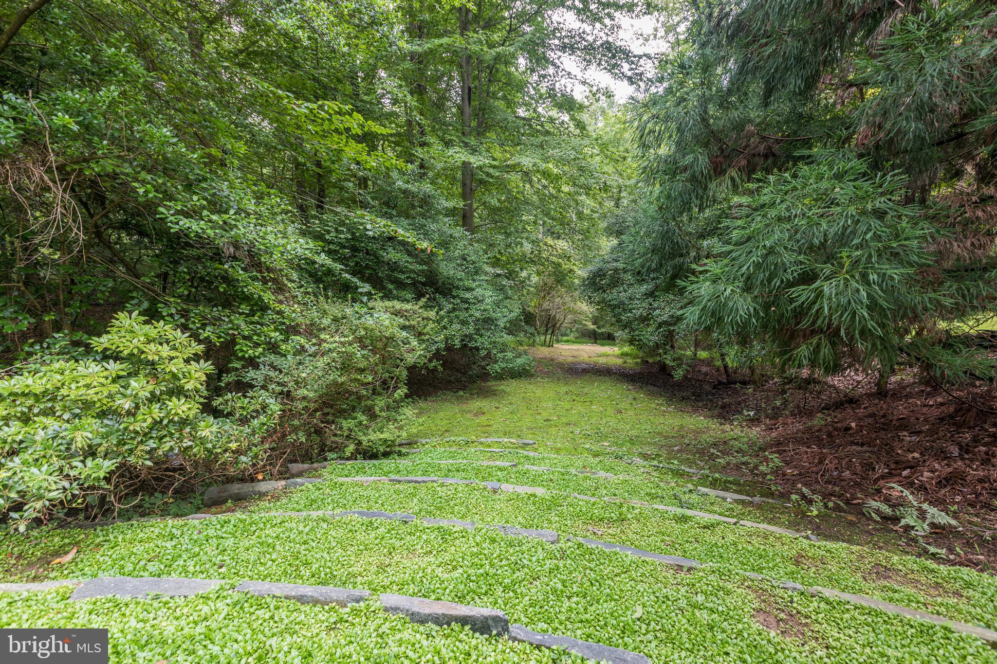 8523 Georgetown Pike McLean, VA 22102 - Photo 76 of 90 Cherry Tree Allee