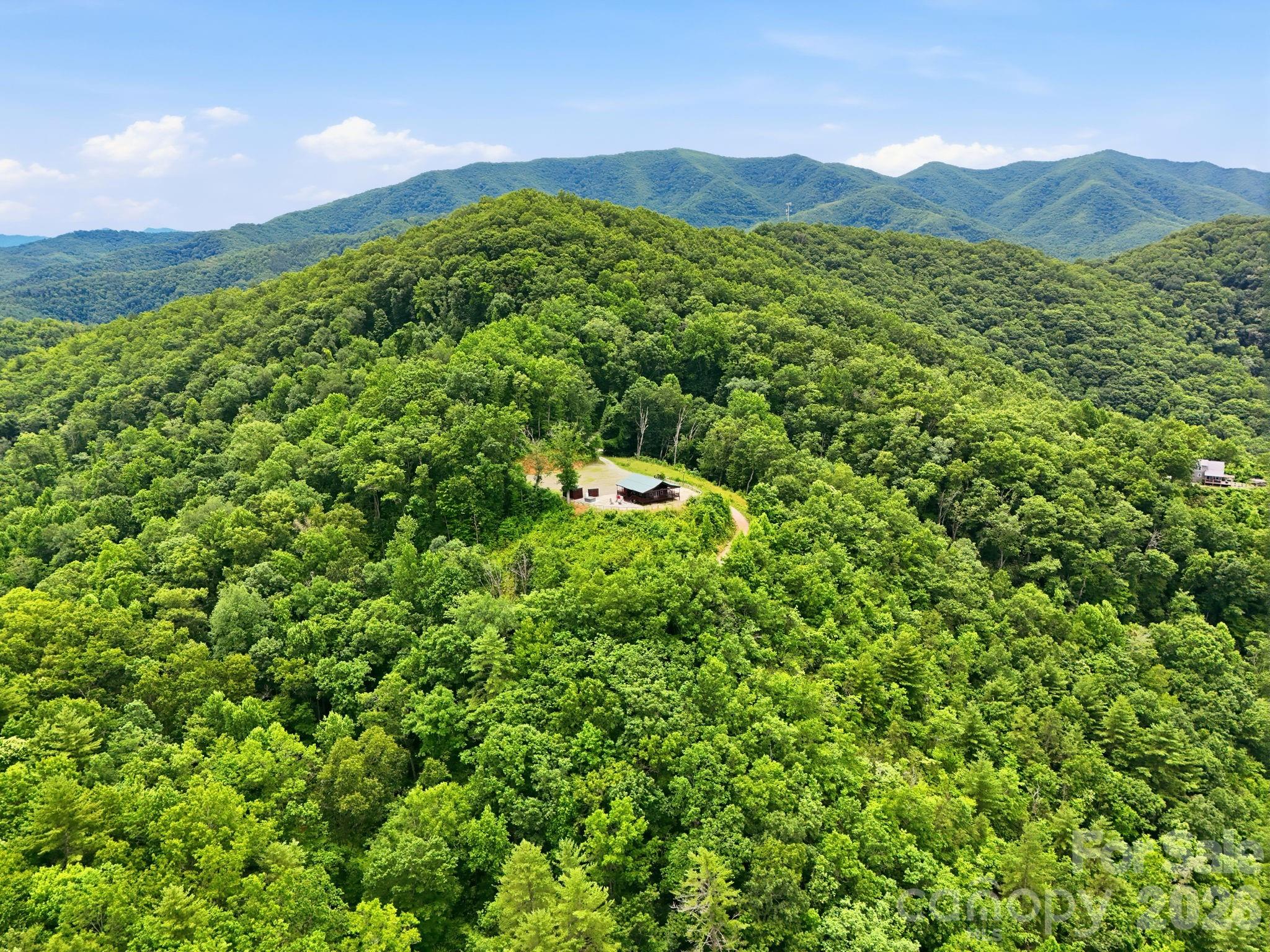 946-140 Honeysuckle Ridge Almond, NC 28702 - Photo 31 of 48
