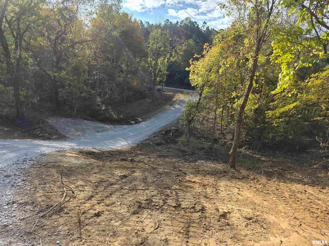 $54,000 | 255 Yellow Springs Road, Elizabethtown, IL 62931