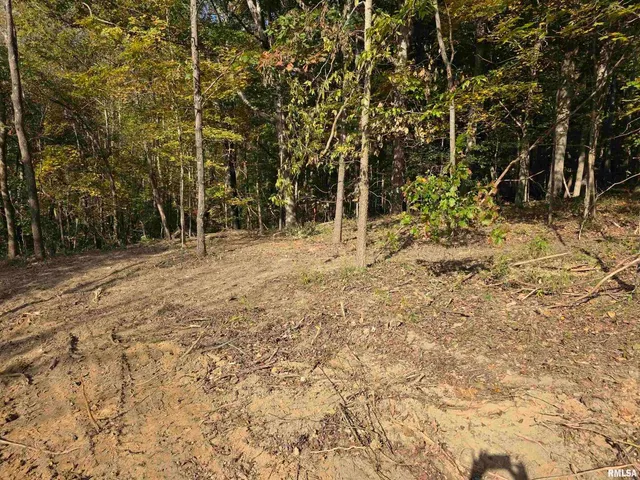 $54,000 | 255 Yellow Springs Road, Elizabethtown, IL 62931